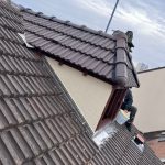 Création chien assis